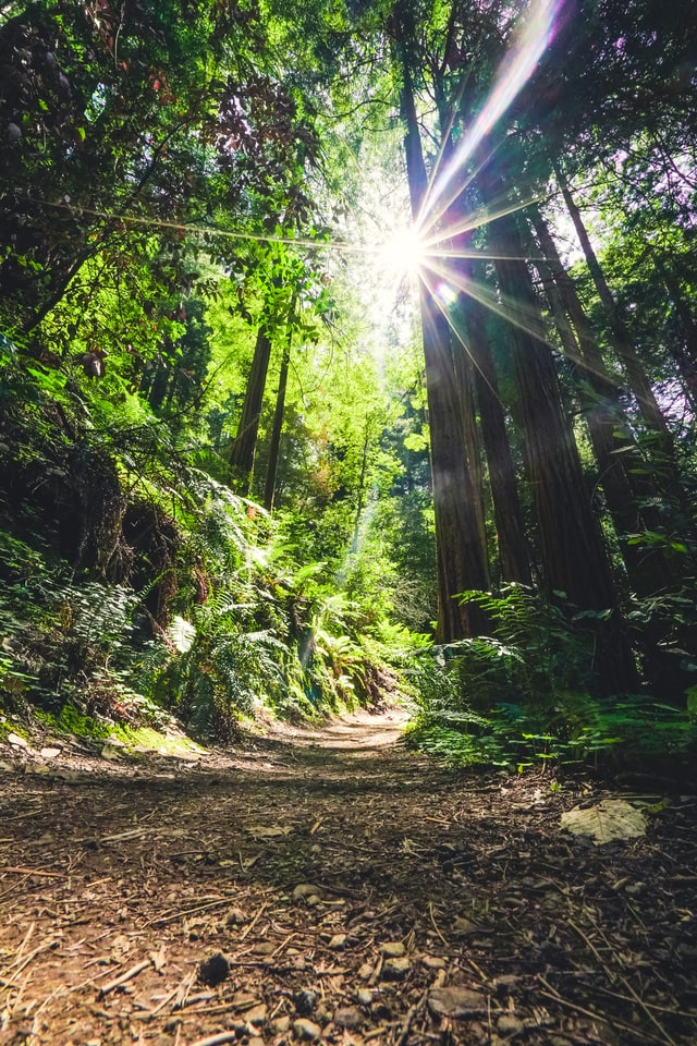eric ward wejhq4j uno unsplash 1